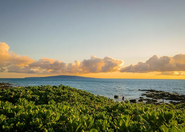 Maui Vista 1210