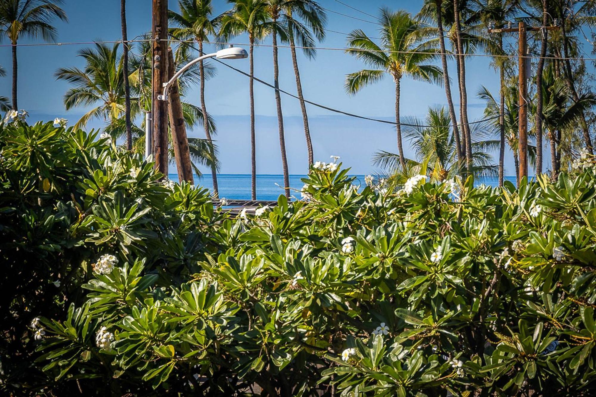 Maui Vista 1210 Kihei